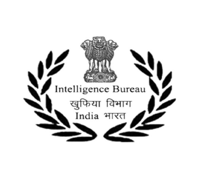 IB logo