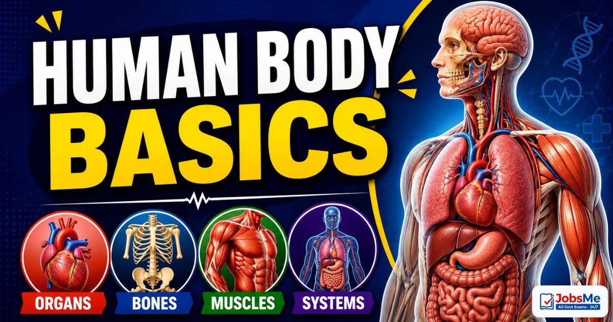 Human Body Basics – Static GK & General Awareness Notes on Organs, Bones, Muscles and Systems for Competitive Exams with Memory Tricks