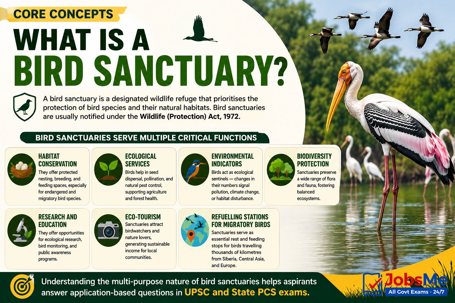 Bird sanctuaries: Key roles and functions