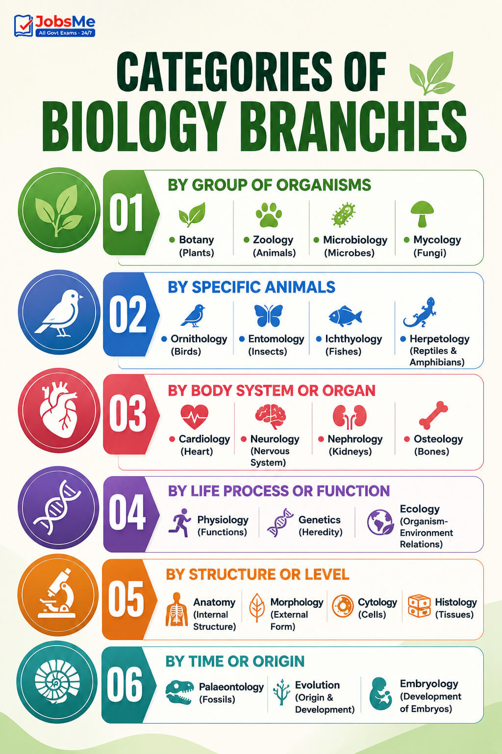 Categories of Biology Branches