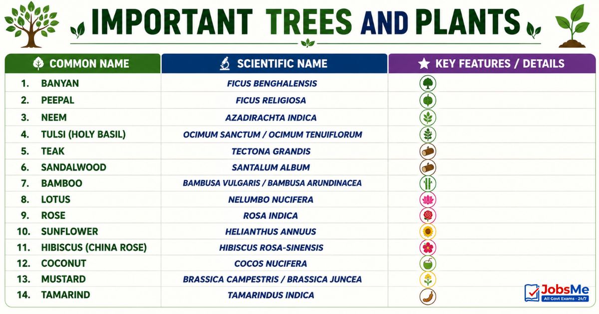 Important Trees and Plants