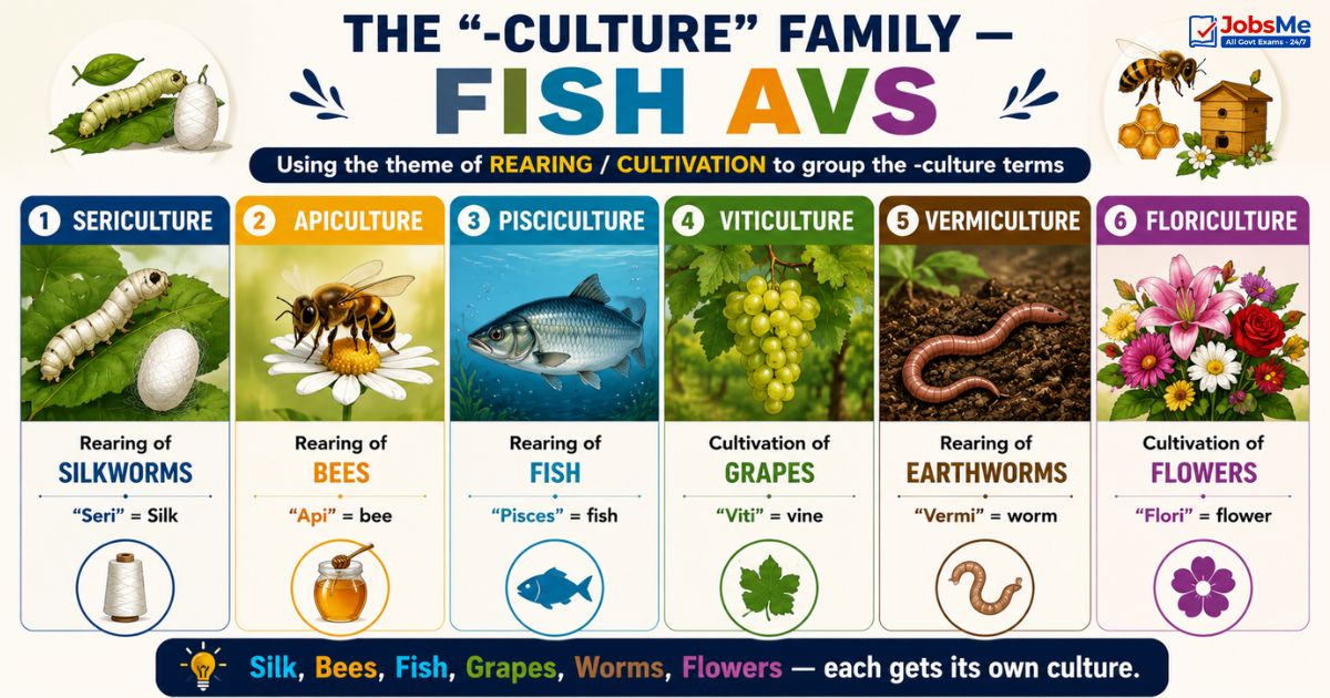 The -Culture Family — FISH AVS