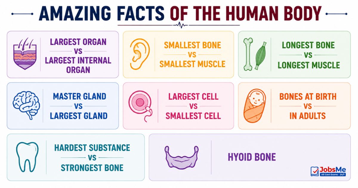 amazing-facts-of-human-body